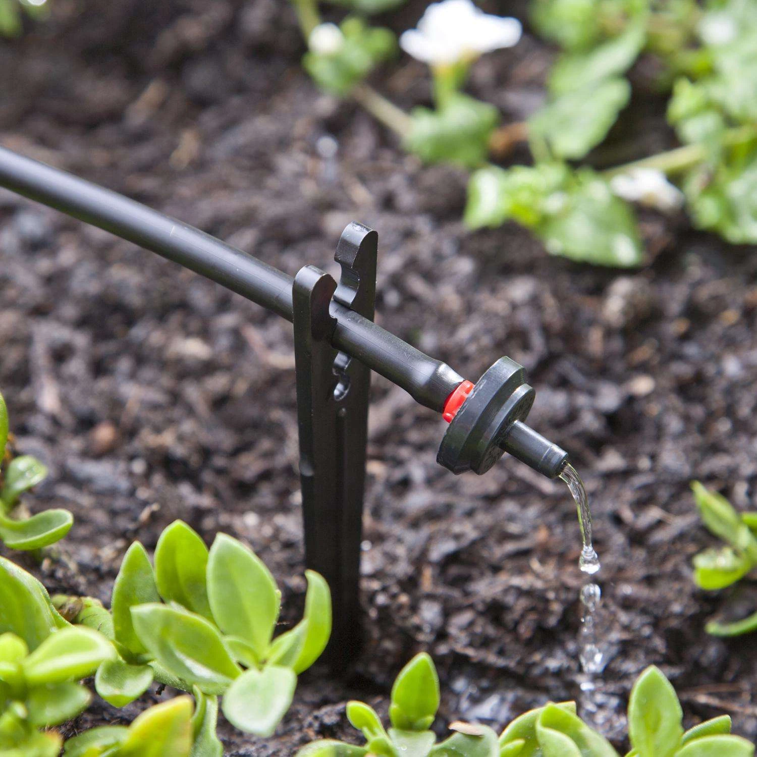 Raindrip Spot Drip Irrigation Dripper 0.5 Gph 25 Pk 4 Raindrip Spot Drip Irrigation Dripper 0.5 Gph 25 Pk - Image 4