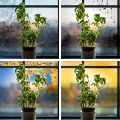 Feit Grow Fixtures Hydroponic Grow Light 54 W -Toro Shop a6e9d79d b4fc 4675 bf1d 2668f04213b3