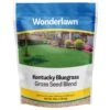 Wonderlawn Kentucky Bluegrass Sun Or Shade Grass Seed 3 Lb