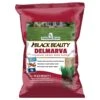 Jonathan Green Black Beauty Delmarva Mixed Sun Or Shade Grass Seed 50 Lb