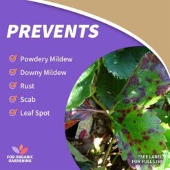 Bonide Captain Jacks Organic Fungicide/Insecticide/Miticide Liquid 32 Oz -Toro Shop a92b0a6b 74a4 4765 b40a 472576829152