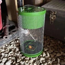 Billy Bob Multiple Catch Cage Trap For Mice 1 Pk 7 Billy Bob Multiple Catch Cage Trap For Mice 1 Pk -Toro Shop ac98ebc8 c8c5 4213 994b 9e5ff93c2e69