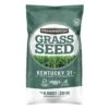 Pennington Kentucky 31 Tall Fescue Grass Sun Or Shade Grass Seed 20 Lb