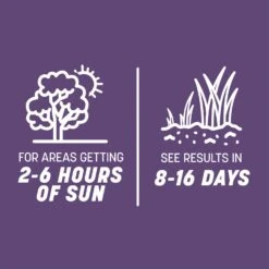 Pennington Smart Seed Mixed Dense Shade Grass Seed And Fertilizer 3 Lb -Toro Shop ad46a3f1 f90d 4723 bc6f c3ef83e0d74b