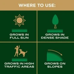 Scotts EZ Seed Mixed Sun Or Shade Grass Spot Repair Seed 20 Lb 16 Scotts EZ Seed Mixed Sun Or Shade Grass Spot Repair Seed 20 Lb -Toro Shop ad7ad753 1a41 45b7 b131 6a3220c8e395