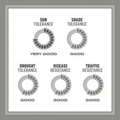 Pennington Contractors Mix Sun Or Shade Grass Seed 20 Lb -Toro Shop b48edc35 30e8 4e46 b1b9 d1ade500f5d4