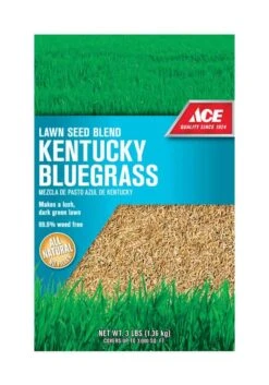 Ace Kentucky Bluegrass Full Sun Grass Seed 3 Lb