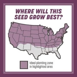 Pennington The Rebels Tall Fescue Grass Dense Shade Grass Seed 3 Lb -Toro Shop b4f8a442 4f37 4fd6 9b75 9c8ffc88fe77