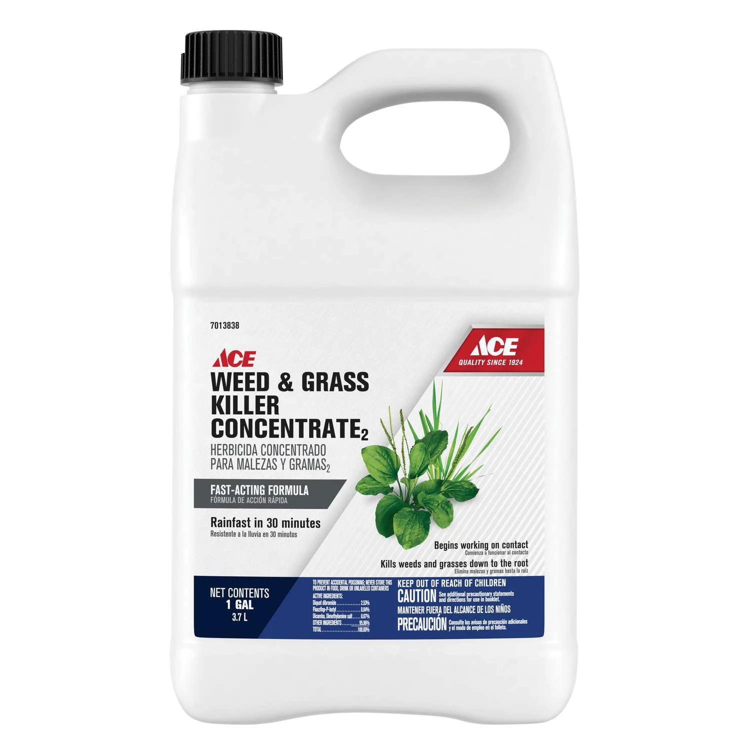 Ace Weed And Grass Killer Concentrate 1 Gal 1 Ace Weed And Grass Killer Concentrate 1 Gal