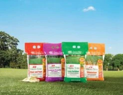 Ace 4 Step Annual Program Lawn Fertilizer For All Grasses 5000 Sq Ft 11 Ace 4 Step Annual Program Lawn Fertilizer For All Grasses 5000 Sq Ft -Toro Shop b5853425 09f3 4ca3 b910 652ff845c0bd