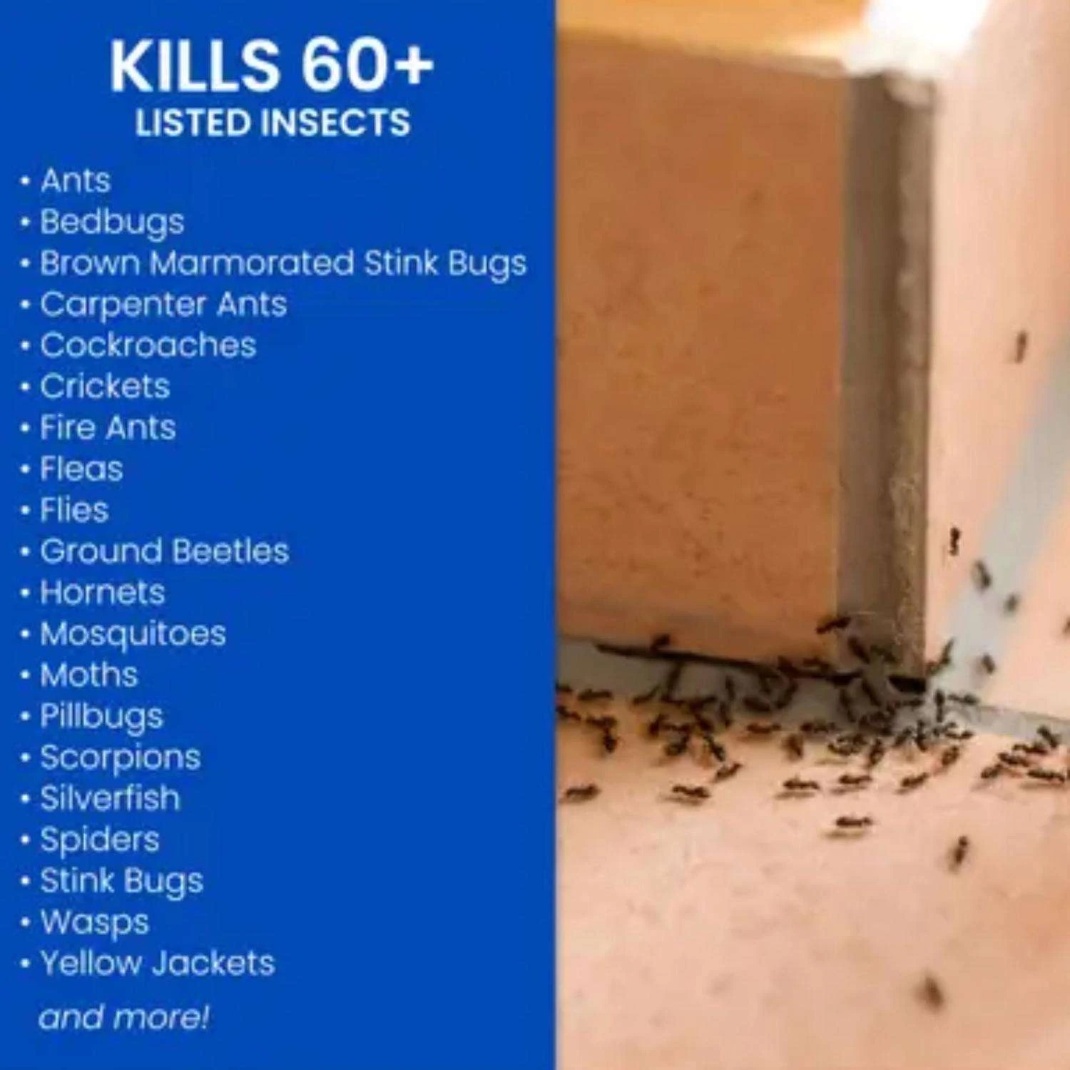 BioAdvanced Home Pest Control Insect Killer Liquid 1 Gal 2 BioAdvanced Home Pest Control Insect Killer Liquid 1 Gal - Image 2