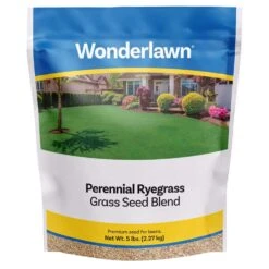 Barenbrug Wonderlawn Perennial Ryegrass Partial Shade/Sun Grass Seed 5 Lb