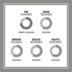 Pennington Contractors Mix Sun Or Shade Grass Seed 7 Lb -Toro Shop be33e4f9 07e9 48b5 9e9e e1d89c2a9114