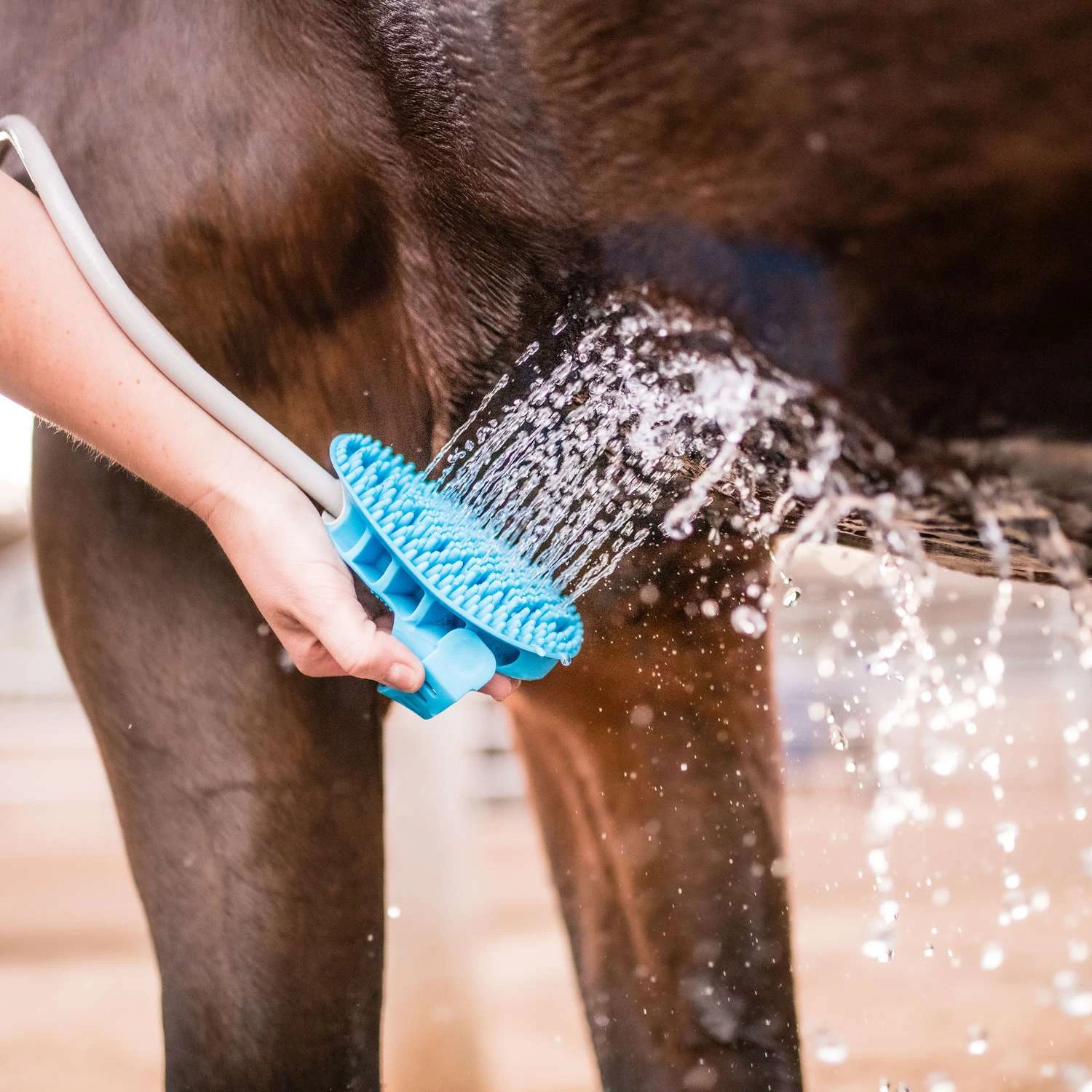 Aquapaw Grooming Brush For Horse 5 Aquapaw Grooming Brush For Horse - Image 5