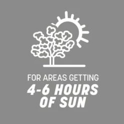 Pennington Contractors Mix Sun Or Shade Grass Seed 7 Lb -Toro Shop bf5e235c 356f 48db 80ed 34ce391cef0f