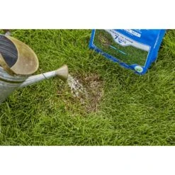 Scotts PatchMaster Mixed Sun Or Shade Grass Spot Repair Seed 4.75 Lb -Toro Shop c2de5c1e b53f 4b71 9772 2e24f44f2eac