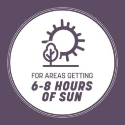 Pennington Annual Ryegrass Sun Or Shade Grass Seed 25 Lb -Toro Shop c4f5672a 2251 4b15 b833 4792d517f01e