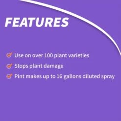 Bonide Systemic Spray Insect Killer Liquid Concentrate 1 Pt -Toro Shop c5c88311 6c4c 4b48 bfca 027b93bf8205