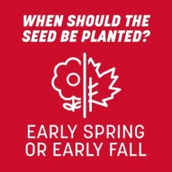 Pennington The Rebels Tall Fescue Grass Sun Or Shade Grass Seed 40 Lb -Toro Shop c97a684c a259 4928 9eb7 598db269aa27