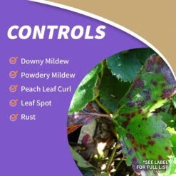 Bonide Concentrated Liquid Disease And Fungicide Control 16 Oz -Toro Shop cad2b580 72b0 45ac 8976 c67be886dbc4