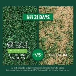Scotts EZ Seed Tall Fescue Grass Sun Or Shade Seed/Fertilizer/Mulch Repair Kit 3.75 Lb 13 Scotts EZ Seed Tall Fescue Grass Sun Or Shade Seed/Fertilizer/Mulch Repair Kit 3.75 Lb -Toro Shop ce768043 d6e5 4a7f 9ed0 04aeea575bbd