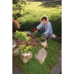 Rain Bird For .866 In. Tubing Drip Tubing Cutter And Punch Tool 8.4 In. H 1 Pk -Toro Shop d5860fc0 0500 45e1 8f6c 5e261c050ea4