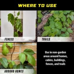 Ortho GroundClear Poison Ivy Killer Concentrate 32 Oz -Toro Shop d601a79d a68f 458c a854 d6de80a5f096