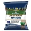 Jonathan Green Black Beauty Keystone All Grasses Sun Or Shade Grass Seed 7 Lb
