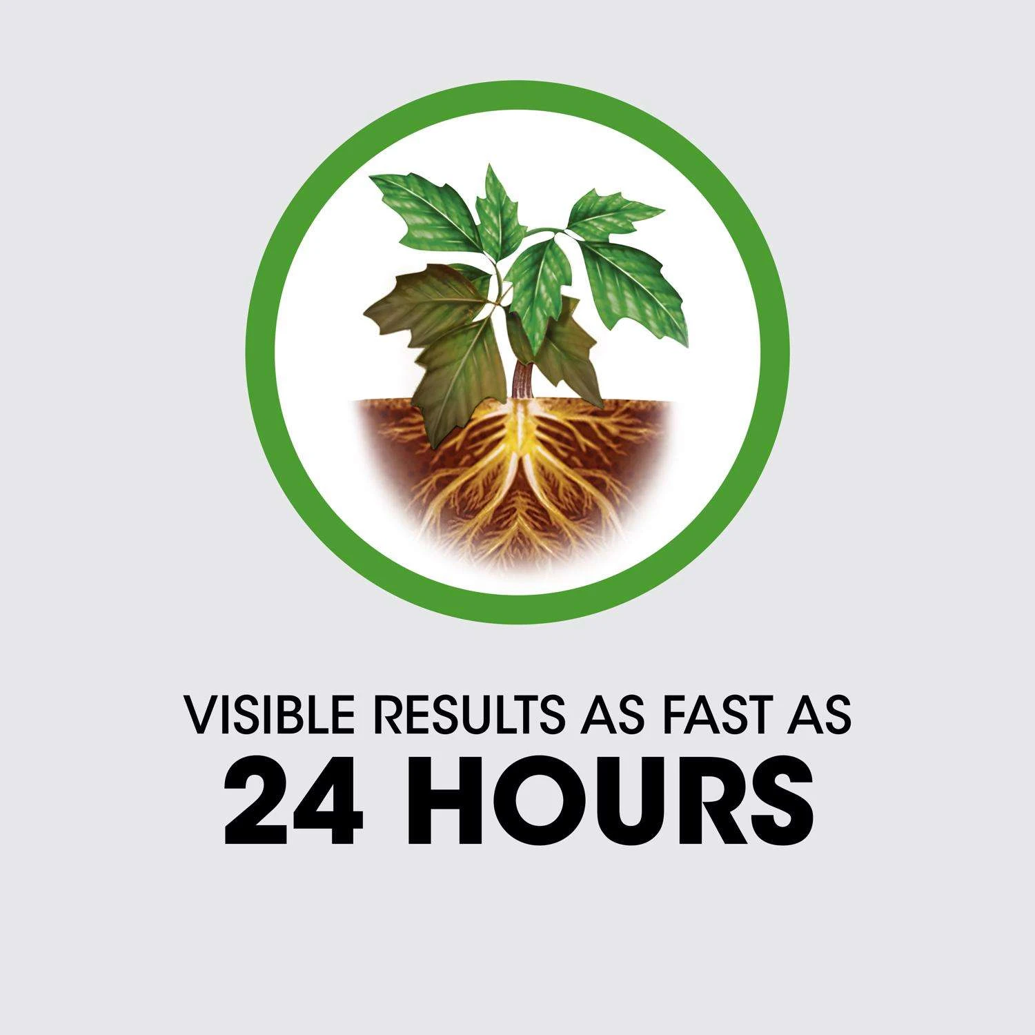 Roundup Poison Ivy Killer RTU Liquid 24 Oz 8 Roundup Poison Ivy Killer RTU Liquid 24 Oz - Image 8