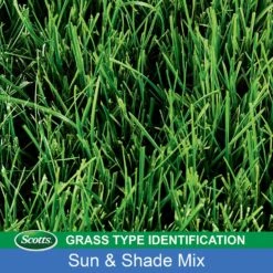 Scotts Turf Builder Mixed Sun Or Shade Grass Seed 20 Lb -Toro Shop d9e6d23d 1dab 4bad 84d8 aed09e19e2f0
