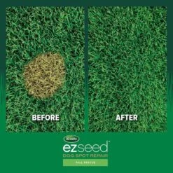 Scotts EZ Seed Tall Fescue Grass Sun Or Shade Pet/Dog Spot Grass Repair Seed 2 Lb -Toro Shop dc098568 6ed4 4431 acca 7c22e9ec4d74