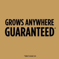 Scotts EZ Seed Tall Fescue Grass Sun Or Shade Pet/Dog Spot Grass Repair Seed 2 Lb -Toro Shop dc962fe3 f1f3 440f b4ab 9ca89aa54866