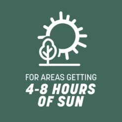 Pennington Kentucky 31 Tall Fescue Grass Sun Or Shade Grass Seed 20 Lb -Toro Shop ddfd5a80 634e 4aab 8705 39a2b056ccbc