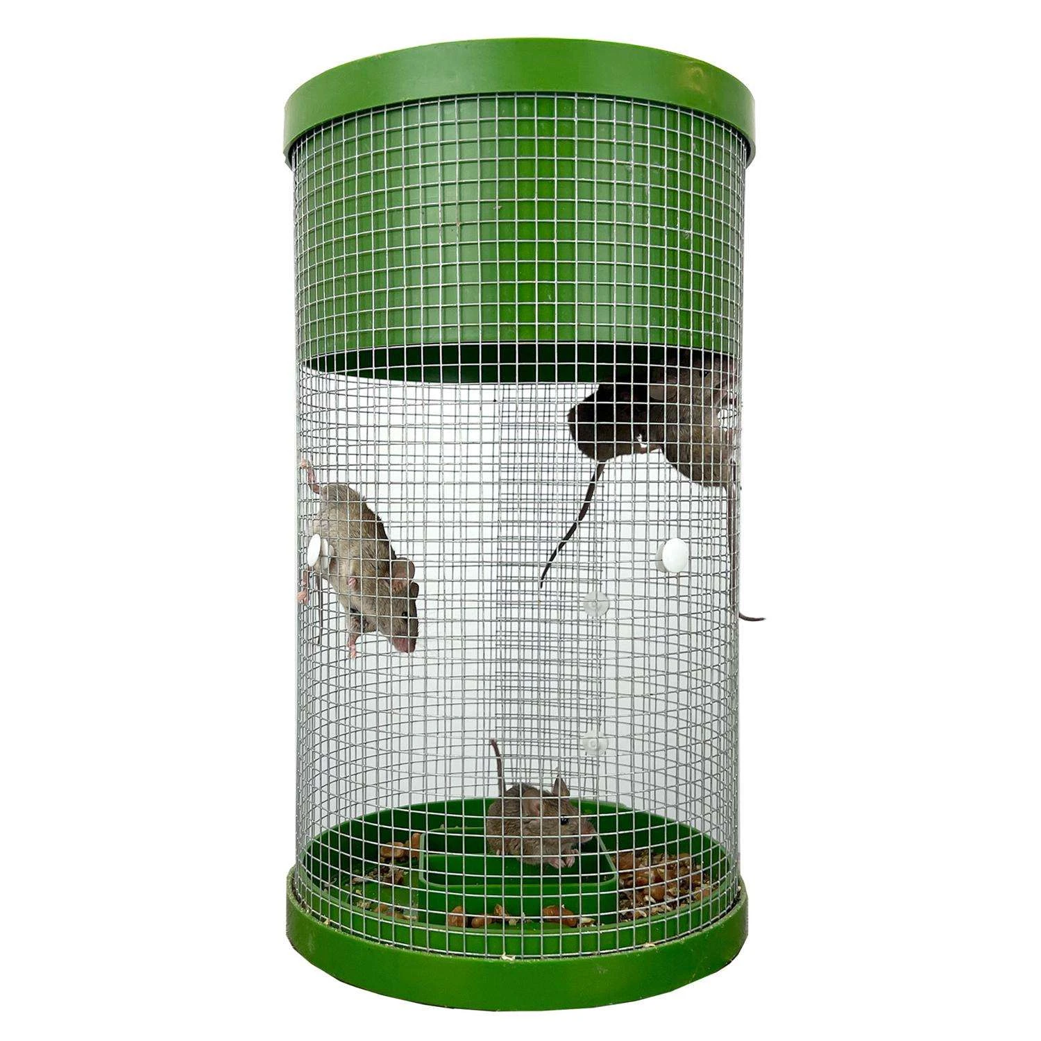 Billy Bob Multiple Catch Cage Trap For Mice 1 Pk 2 Billy Bob Multiple Catch Cage Trap For Mice 1 Pk - Image 2