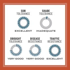 Pennington Smart Seed Bermuda Grass Full Sun Grass Seed And Fertilizer 8.75 Lb -Toro Shop e986cc4f 2cfa 458d 8958 d8b89374600c