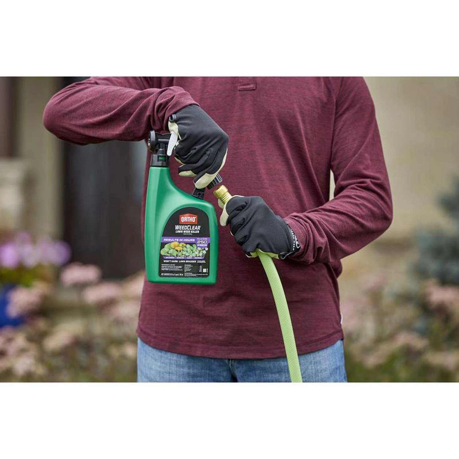 Ortho WeedClear Weed Killer RTS Hose-End Concentrate 32 Oz 3 Ortho WeedClear Weed Killer RTS Hose-End Concentrate 32 Oz - Image 3