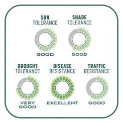 Pennington Smart Patch Mixed Sun Or Shade Seed/Fertilizer/Mulch Repair Kit 10 Lb -Toro Shop e9c01444 0b05 4878 8896 8a9a8a7a9d8b