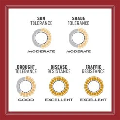 Pennington Smart Seed Perennial Ryegrass Sun Or Shade Grass Seed And Fertilizer 3 Lb -Toro Shop ea25bb1d 4fd5 46be 88ad 961deb79b726