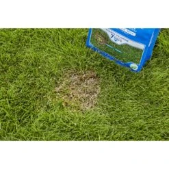 Scotts PatchMaster Mixed Sun Or Shade Grass Spot Repair Seed 4.75 Lb -Toro Shop edf461a0 6c85 45c7 82f3 c247ff5eb7a7
