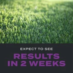 Scotts Turf Builder Southern Triple Action Weed & Feed Lawn Fertilizer For All Grasses 8000 Sq Ft -Toro Shop eeb07f44 9b80 4215 9a66 029ccec80c3c