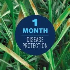 BioAdvanced Concentrated Liquid Fungicide 32 Oz -Toro Shop f112fe26 a2ff 4bd7 b135 0121673c5d04