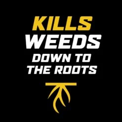 Ortho WeedClear Weed Killer Concentrate 1 Gal 13 Ortho WeedClear Weed Killer Concentrate 1 Gal -Toro Shop f21bd58e 9ac5 4e3f b156 6985c8cd7882