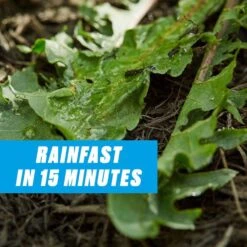 Ortho GroundClear Weed And Grass Killer Concentrate 32 Oz -Toro Shop f23d5a31 6e7a 404b abd2 591bf3c23ce2