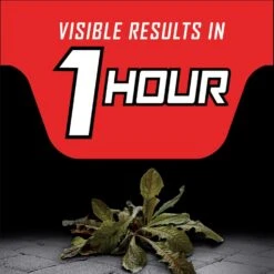 Ortho GroundClear Year Long Vegetation Killer RTU Liquid 1.33 Gal -Toro Shop f29cf5ed 3b9b 4d78 9aef 6f57b539feff