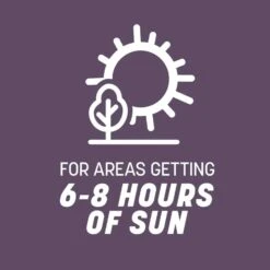 Pennington Annual Ryegrass Full Sun/Light Shade Grass Seed 50 Lb -Toro Shop f4229acf 7ae6 499b 9631 d82228f2534f