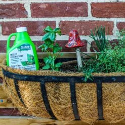 Safer Brand Organic Insect Killing Soap Liquid 16 Oz -Toro Shop fb216d5f 3529 415c 917d 0a6d2b3cf616