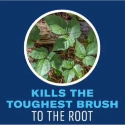 BioAdvanced Brush Killer Concentrate 32 Oz -Toro Shop fbc8b99c 69cf 4aa0 b5c6 6fb64b69bf29