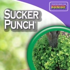 Bonide Sucker Punch Tree Roots Killer RTU Liquid 16 Oz 11 Bonide Sucker Punch Tree Roots Killer RTU Liquid 16 Oz -Toro Shop fc5caaea 7320 4d0c 9716 f21ab7b80e40
