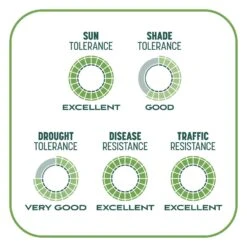 Pennington Smart Patch Tall Fescue Grass Sun Or Shade Seed/Fertilizer/Mulch Repair Kit 10 Lb -Toro Shop fd14c856 46da 4274 bab6 18ed1b4a8f07