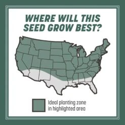 Pennington Kentucky 31 Tall Fescue Grass Sun Or Shade Grass Seed 20 Lb -Toro Shop fe77ac2d e60d 4c25 9703 55955d7235a5